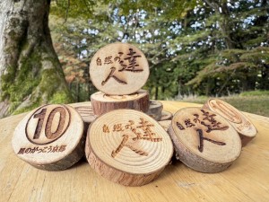 里山あそび隊-達人コイン